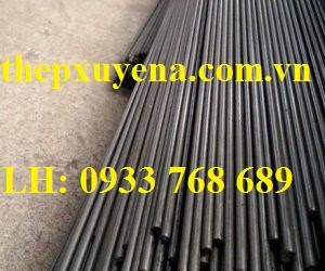  THÉP TRÒN ĐẶC PHI 12