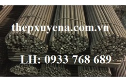  THÉP TRÒN ĐẶC PHI 10