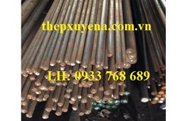  THÉP TRÒN ĐẶC PHI 12