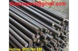  THÉP TRÒN ĐẶC PHI 22