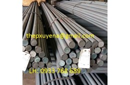  THÉP TRÒN ĐẶC PHI 25