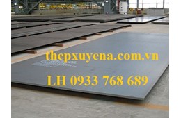 THÉP TẤM 65G/ 65GE